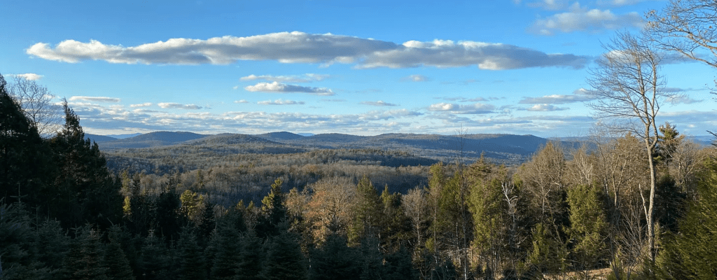 Photograph of pine trees with mountains in the distance and a blue cloudy sky taken at Emerson Family Christmas Tree Farm in Greenfield, Massachusetts.